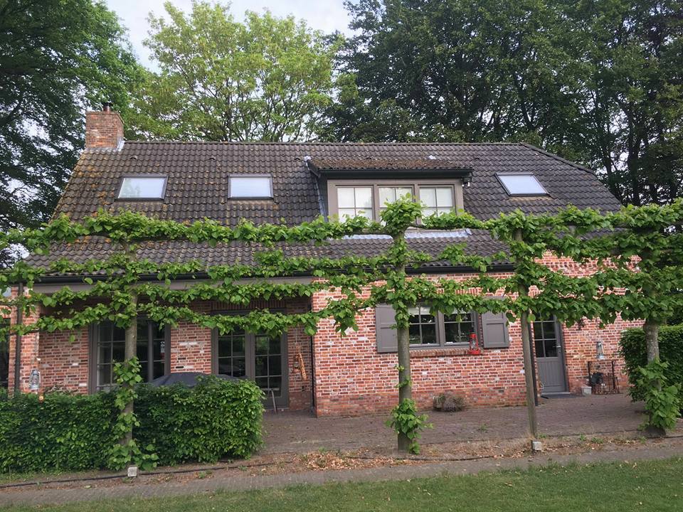voor ontmossen