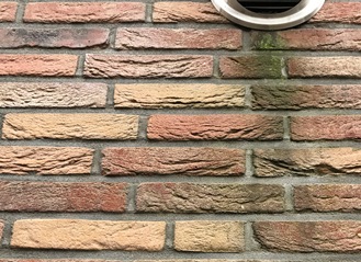 groene aanslag gevel