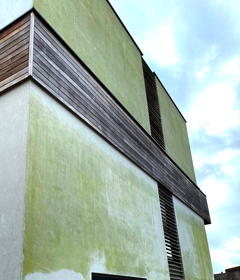 Groene gevel groene aanslag nieuwbouw